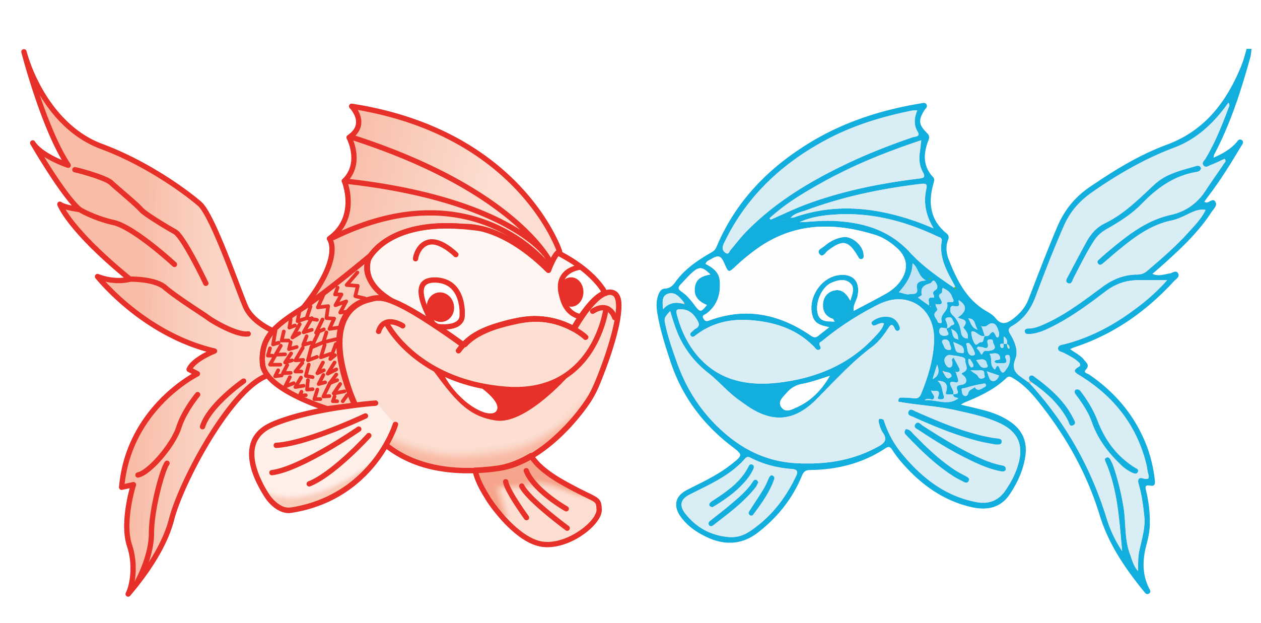 alevin rouge bleu